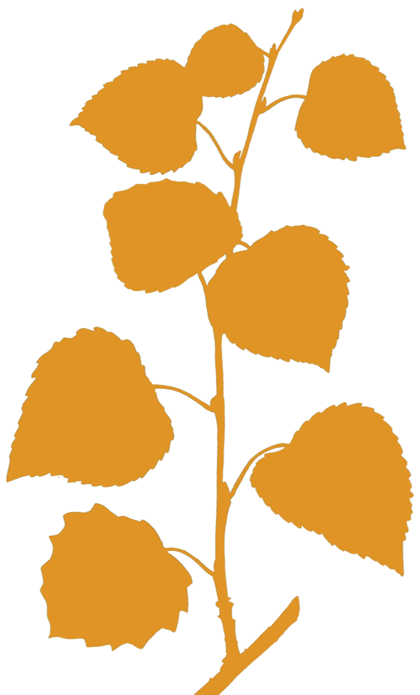 Leaf-01.webp Leaf-01.webp